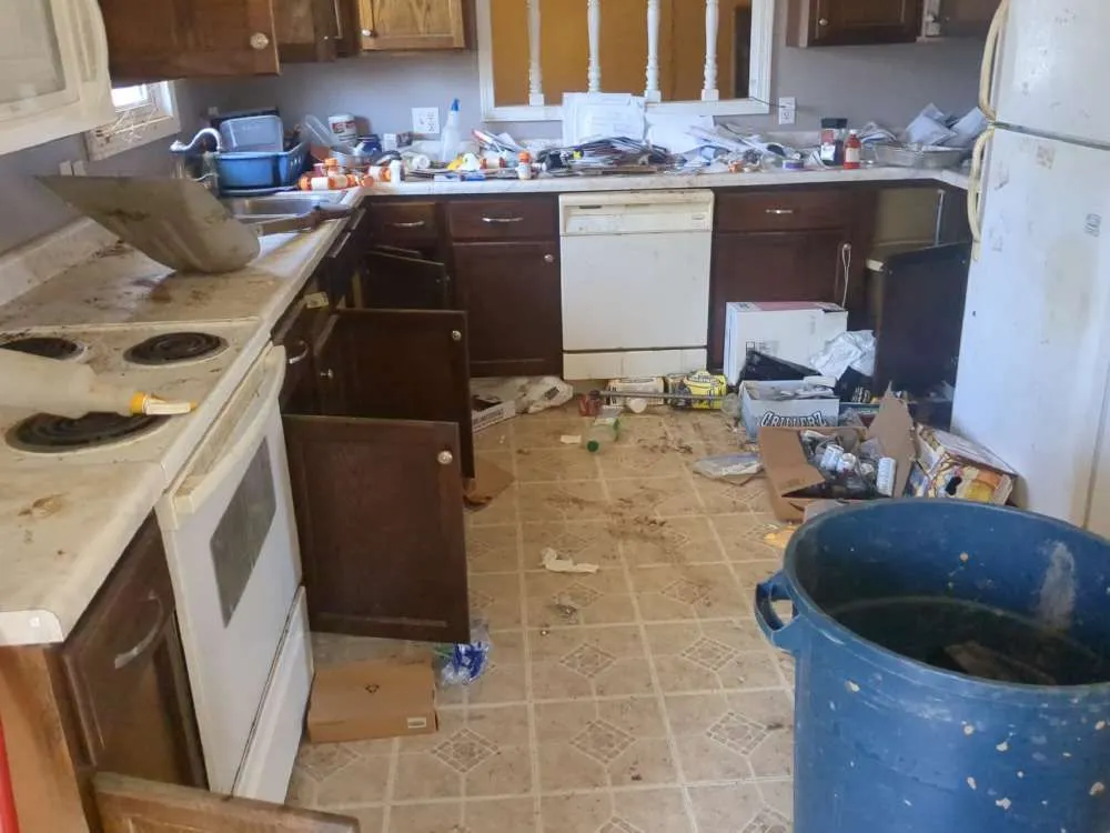 Affordable landscape installation in Jackson, TN - Five Star Field Service