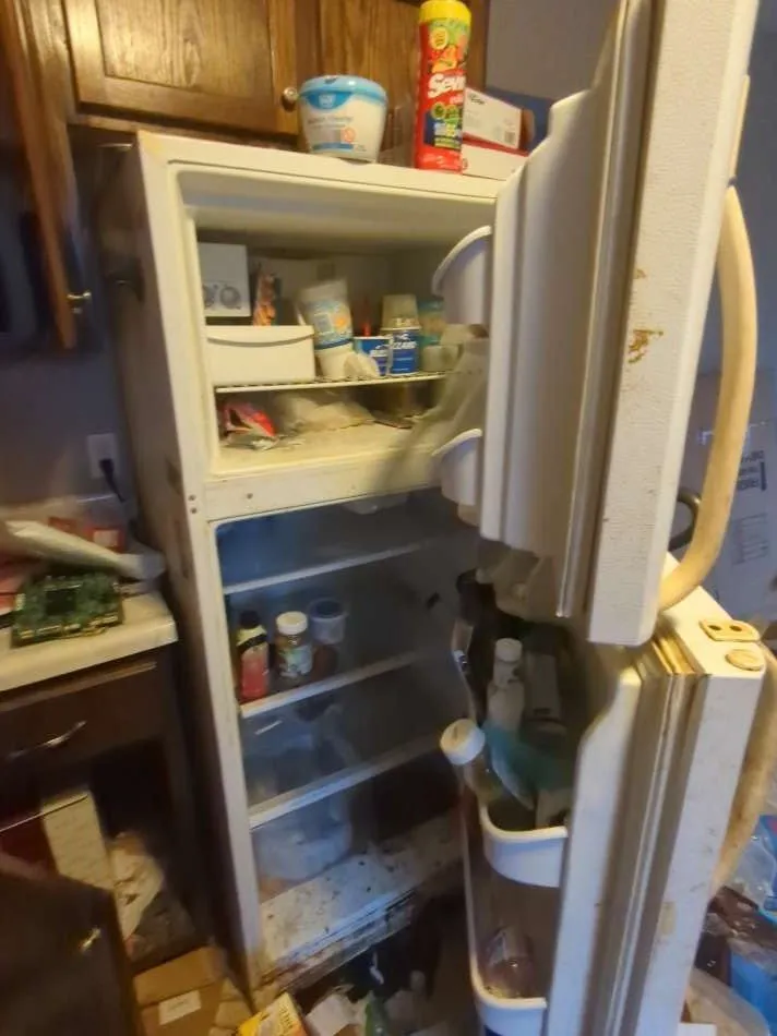 Top-rated landscape installation for residential properties in Jackson, TN by Five Star Field Service