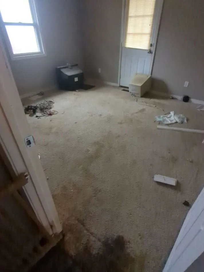 Affordable yard cleanup service for year-round maintenance in Jackson, TN by Five Star Field Service