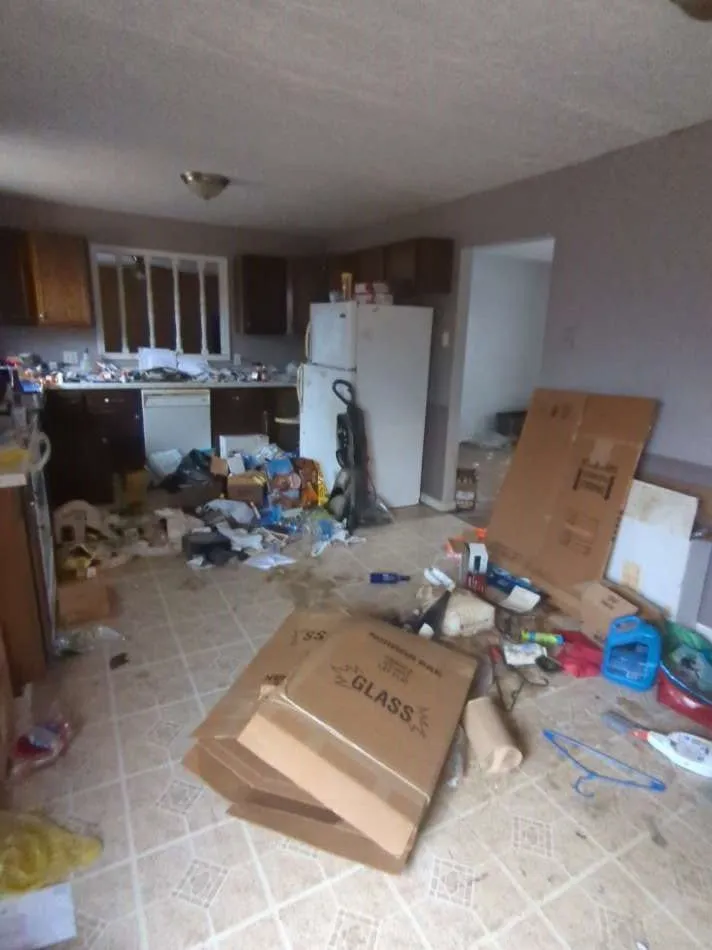 Expert landscape design for outdoor upgrades across Jackson, TN - Five Star Field Service