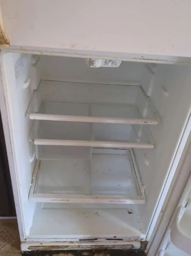 Custom yard cleanup service with custom design in Jackson, TN by Five Star Field Service