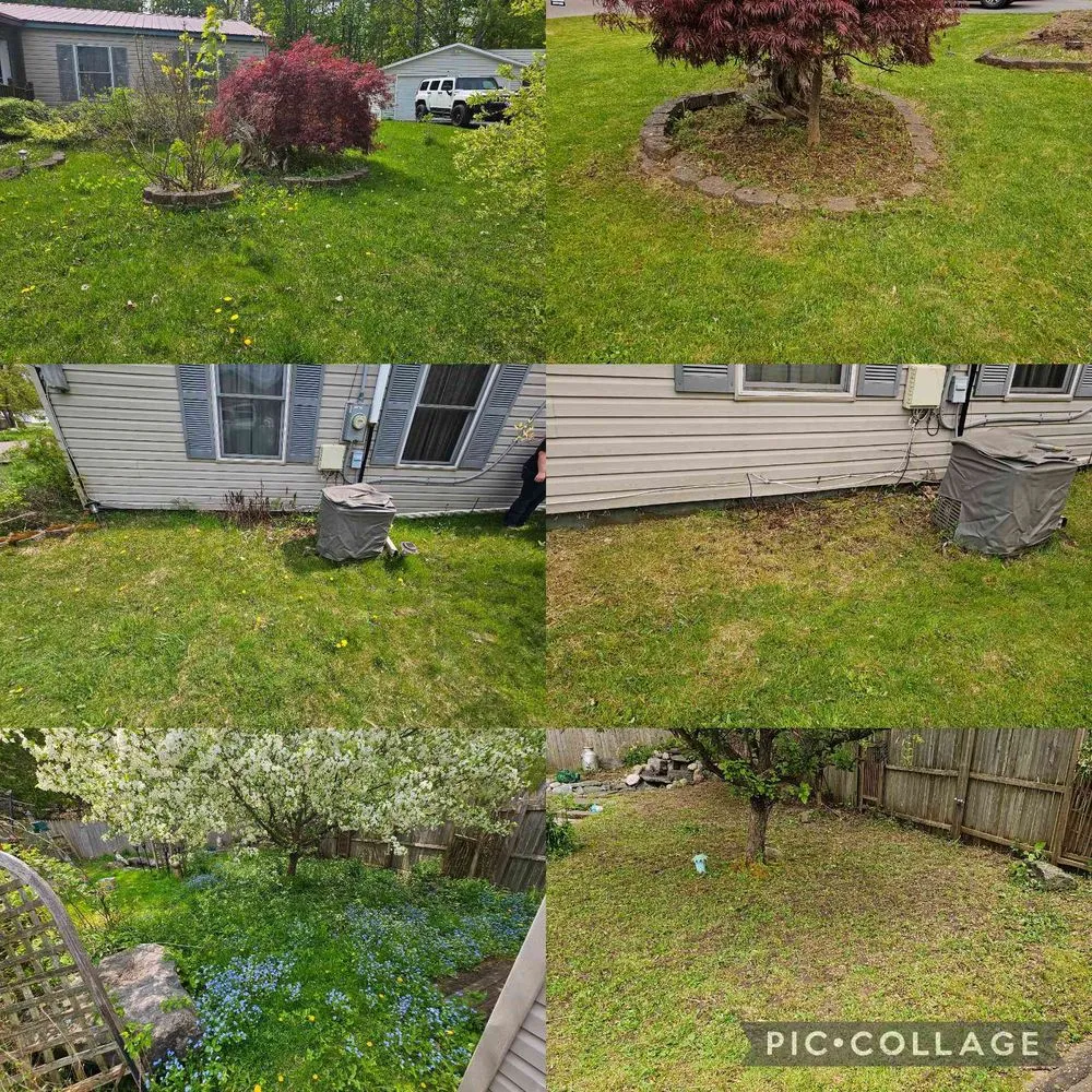 Trusted yard cleanup service for homes in Liverpool, NY by Five Star Finish