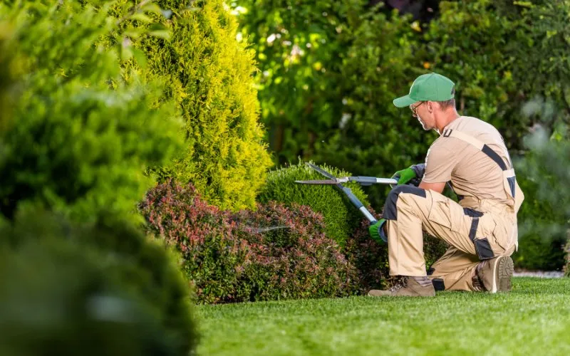 Affordable lawn mowing service in Liverpool, NY - Five Star Finish
