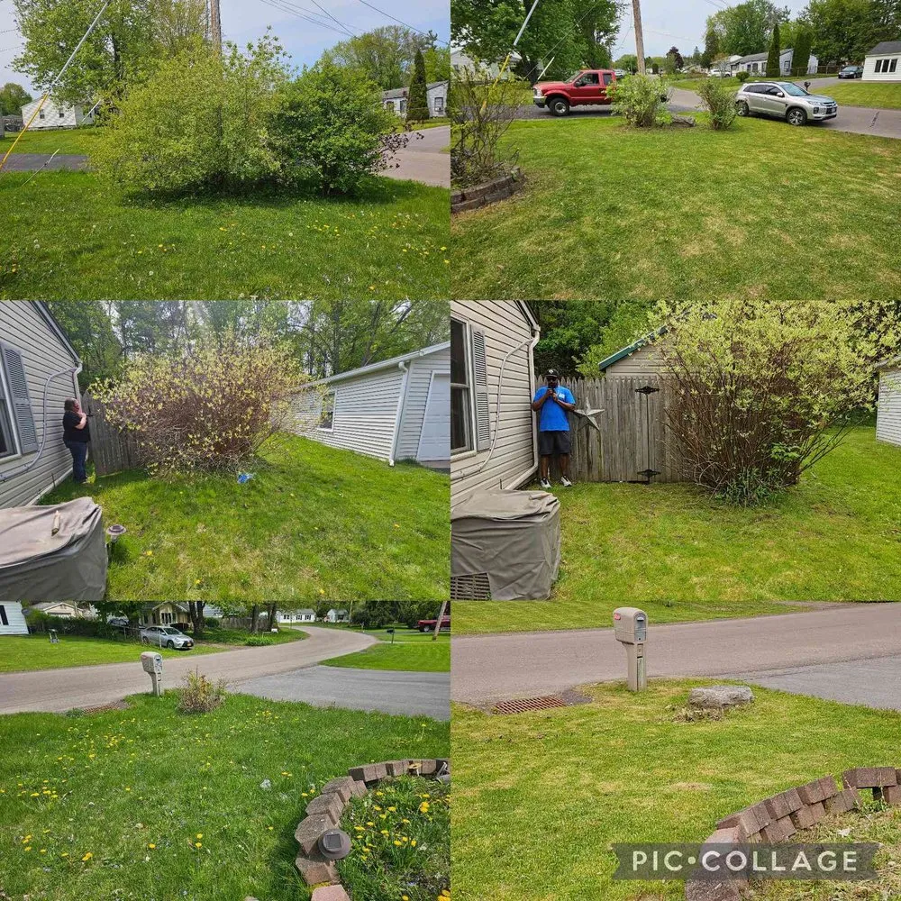Professional yard maintenance in Liverpool, NY - Five Star Finish