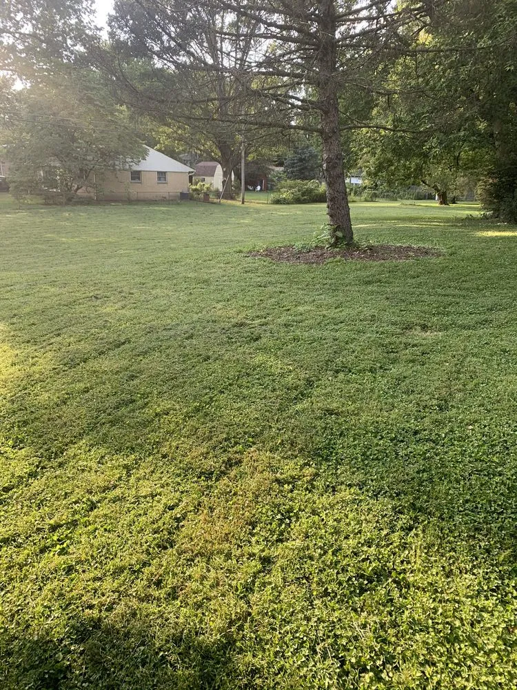 Top-rated lawn care service experts serving Lawrence, IN - Five Star Landscape