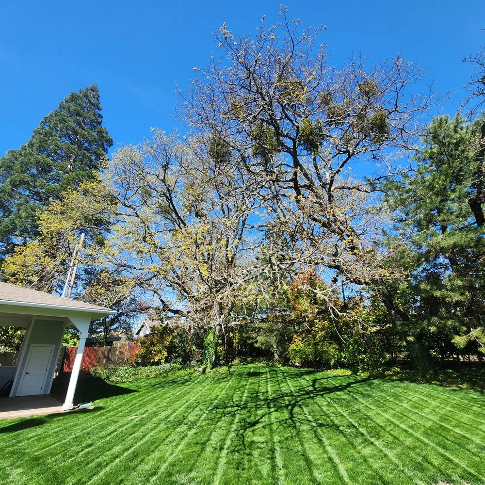 Local outdoor landscaping near you across Medford, OR - Five Star Landscape Maintenance