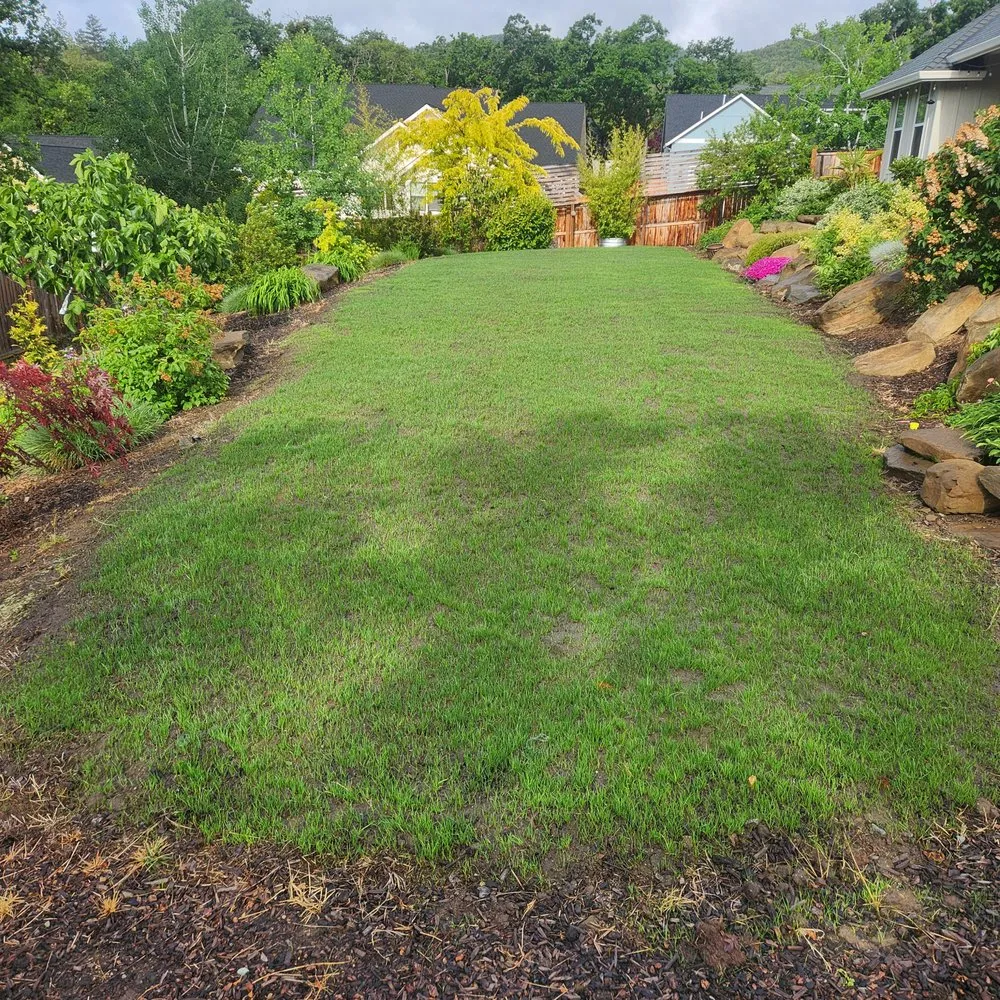 Reliable landscaping services with custom design across Medford, OR - Five Star Landscape Maintenance