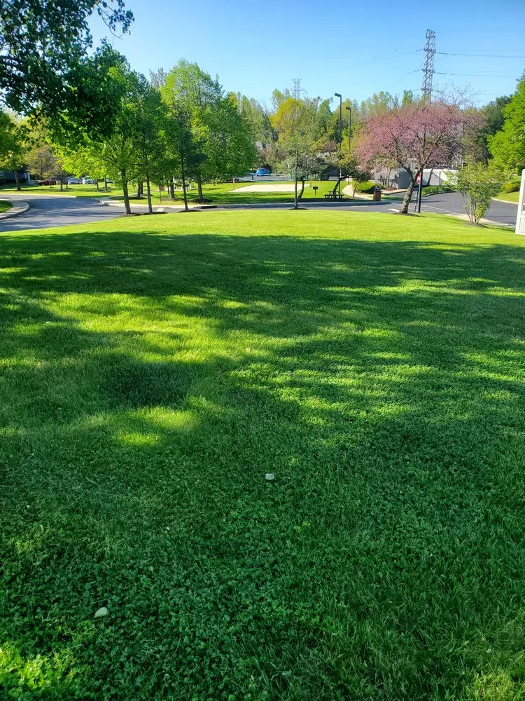 Trusted landscape design near you in Mercerville, NJ by Five Star Landscape Solutions