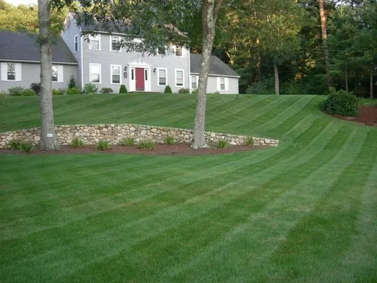 Five Star Landscaping & Tree Service Logo