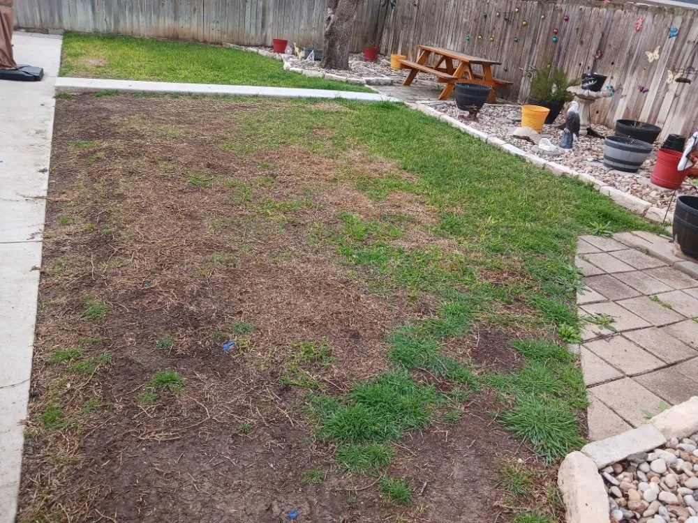 Affordable yard cleanup service experts serving Belton, TX - Five Star Landscaping