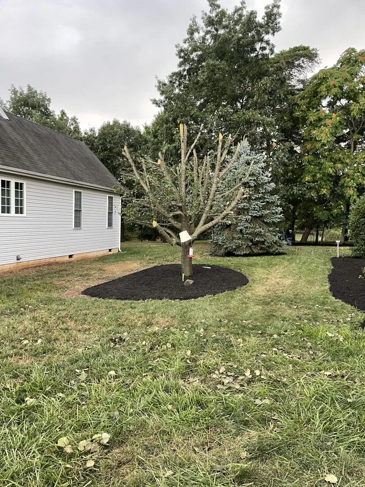 Custom yard cleanup service in Martinsburg, WV - Five Star Landscaping