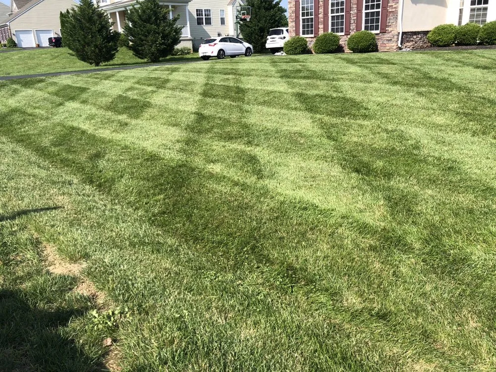 Local landscape design in Martinsburg, WV - Five Star Landscaping