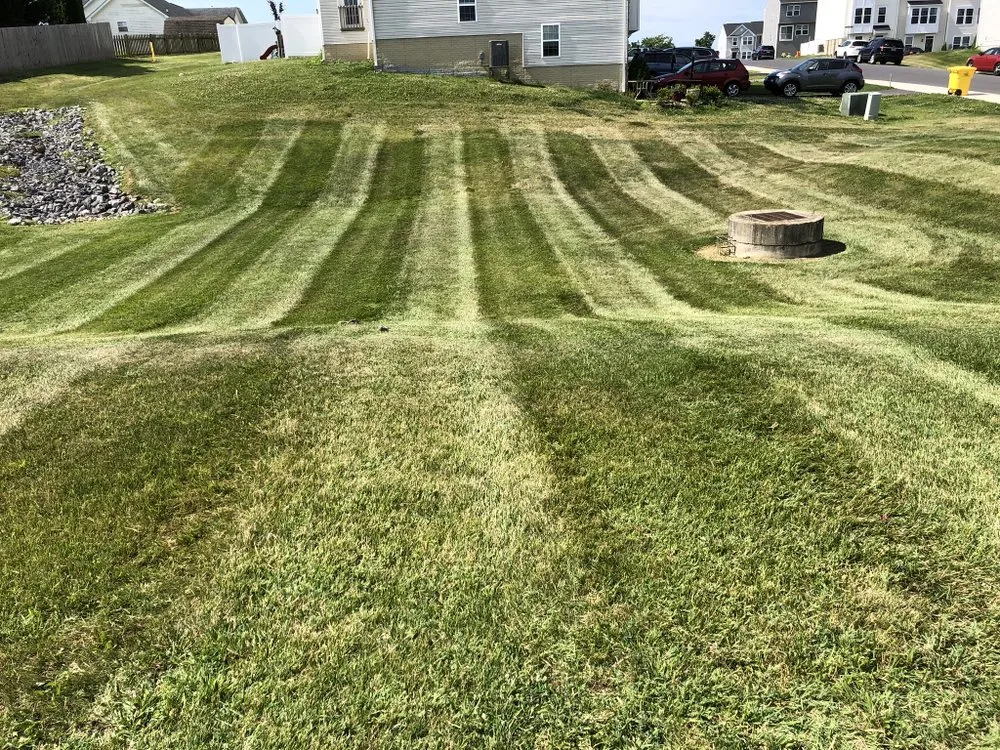 Affordable yard maintenance near you in Martinsburg, WV by Five Star Landscaping