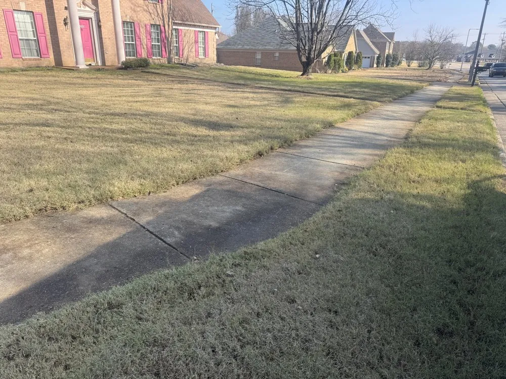 Expert lawn care service in Memphis, TN - Five Star Landscaping