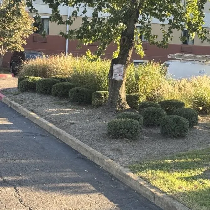 Custom landscape installation in Memphis, TN by Five Star Landscaping