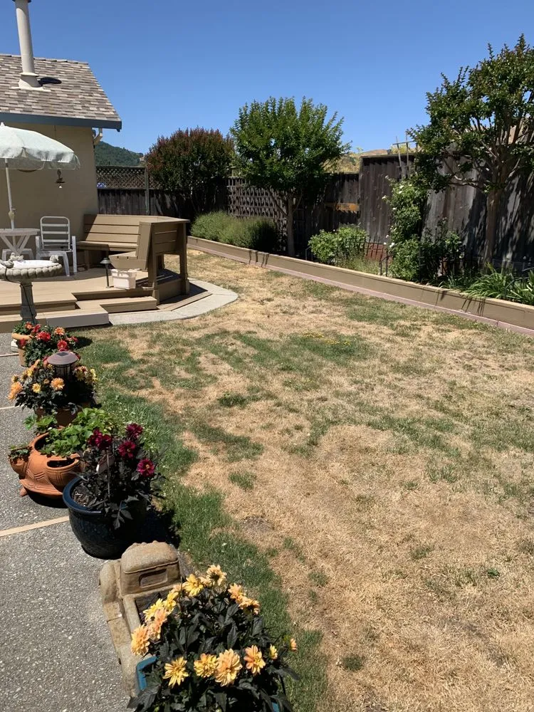 Top-rated landscape design in Vallejo, CA - Five Star Landscaping