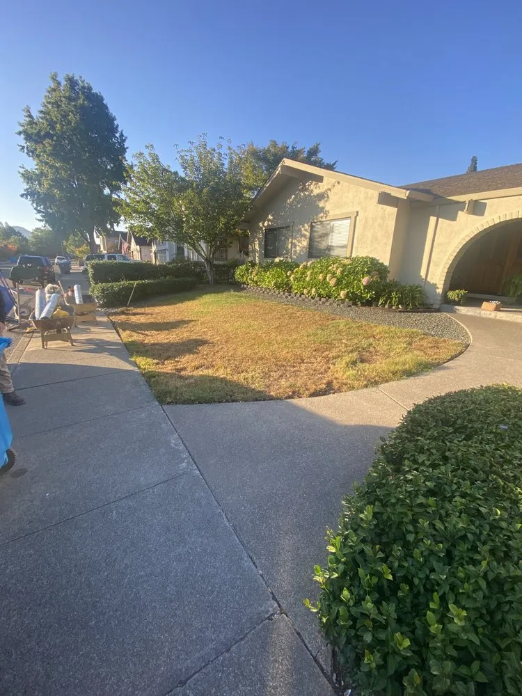 Expert lawn care service experts serving Vallejo, CA - Five Star Landscaping