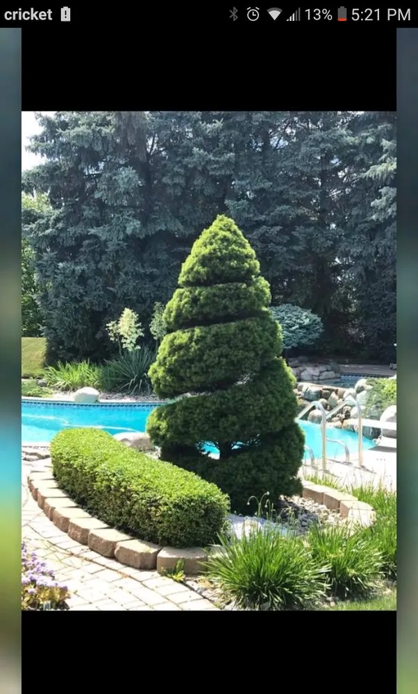 Professional yard maintenance for residential properties in Waterford Township, MI by Five Star Landscaping