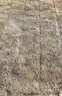 Top-rated landscaping services experts serving Fayetteville, TN - Five Star Lawn and Landscaping