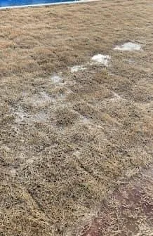 Reliable lawn mowing service in Fayetteville, TN - Five Star Lawn and Landscaping