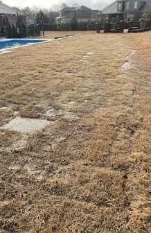 Top-rated landscape installation experts serving Fayetteville, TN - Five Star Lawn and Landscaping