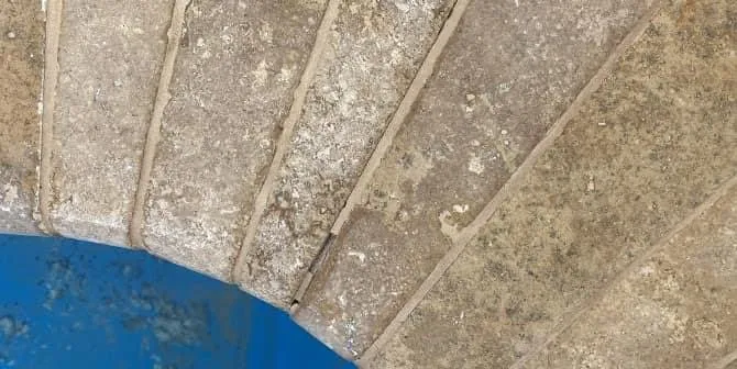 Trusted garden landscaping for homes in Fayetteville, TN by Five Star Lawn and Landscaping