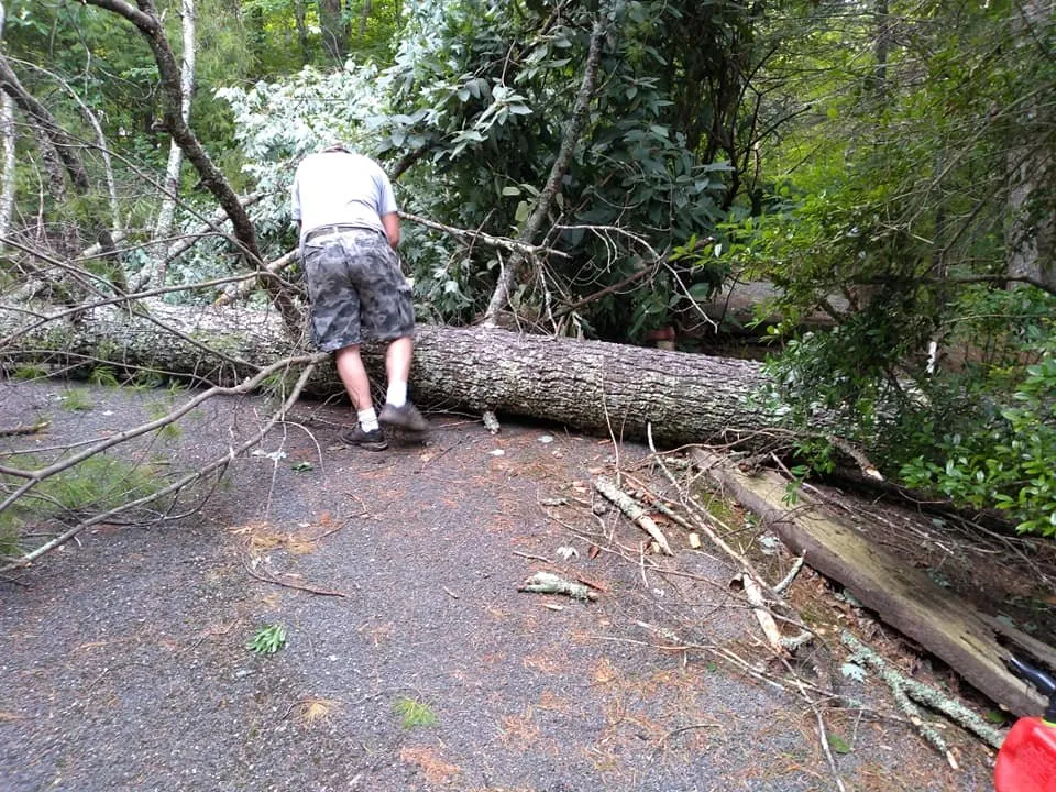 Professional landscaping services in Sevierville, TN - Five Star Lawn Care