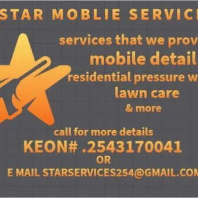 Five Star Mobile Detailing Services Logo