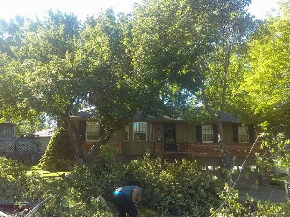 Trusted landscape design in Independence, MO by Five Star Property Maintenance