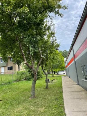 Five Star Property Maintenance Logo