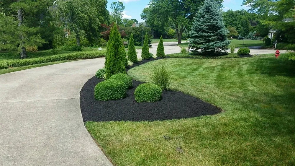 Top-rated lawn care service in Springboro, OH by Five Star Property Solutions