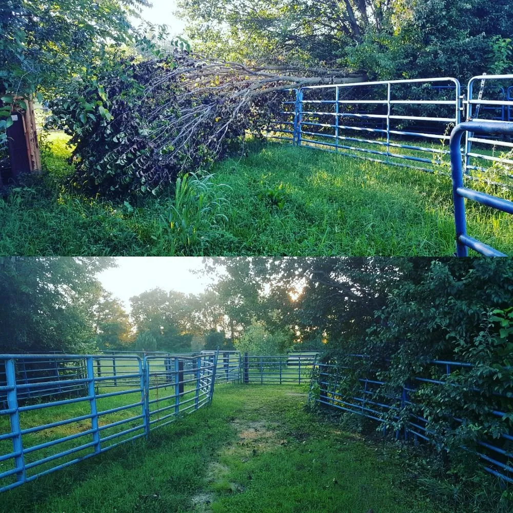 Custom garden landscaping for outdoor upgrades in Scottsville, KY by Five Star Service Company