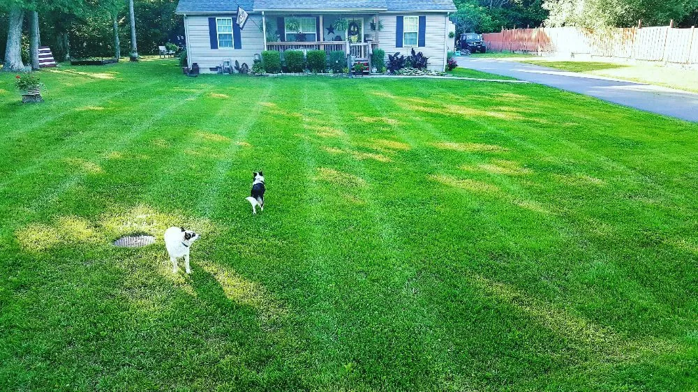 Professional lawn care service experts serving Scottsville, KY - Five Star Service Company