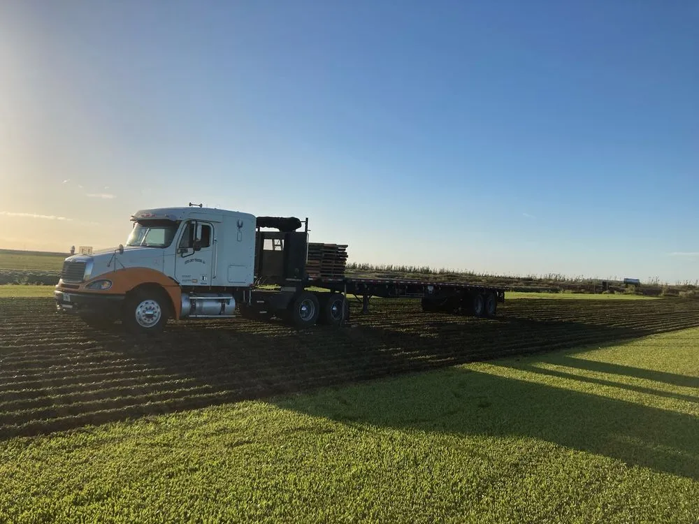 Reliable lawn care service for year-round maintenance across Fort Myers, FL - Five Star Sod LLC