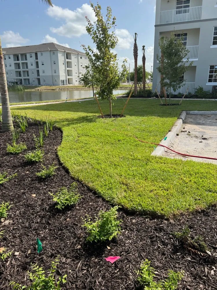 Top-rated residential landscaping in Fort Myers, FL by Five Star Sod LLC