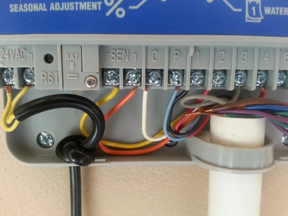 Trusted yard cleanup service in Round Rock, TX - Five Star Sprinkler