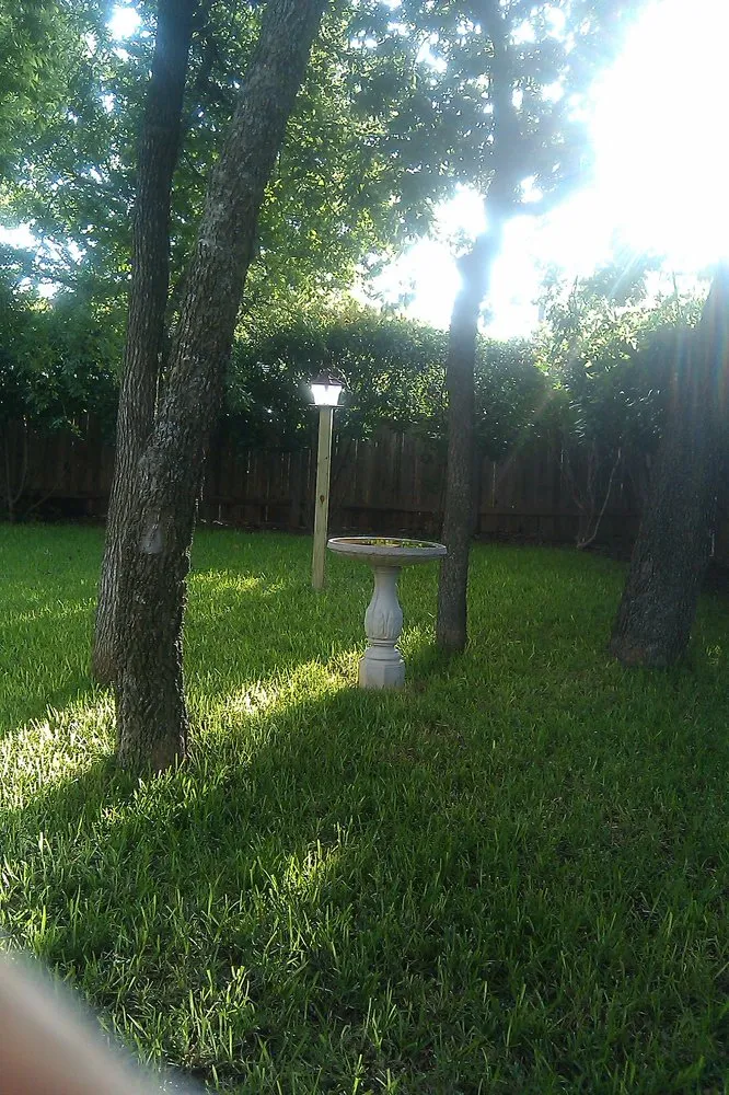 Affordable landscaping services for outdoor upgrades across Round Rock, TX - Five Star Sprinkler