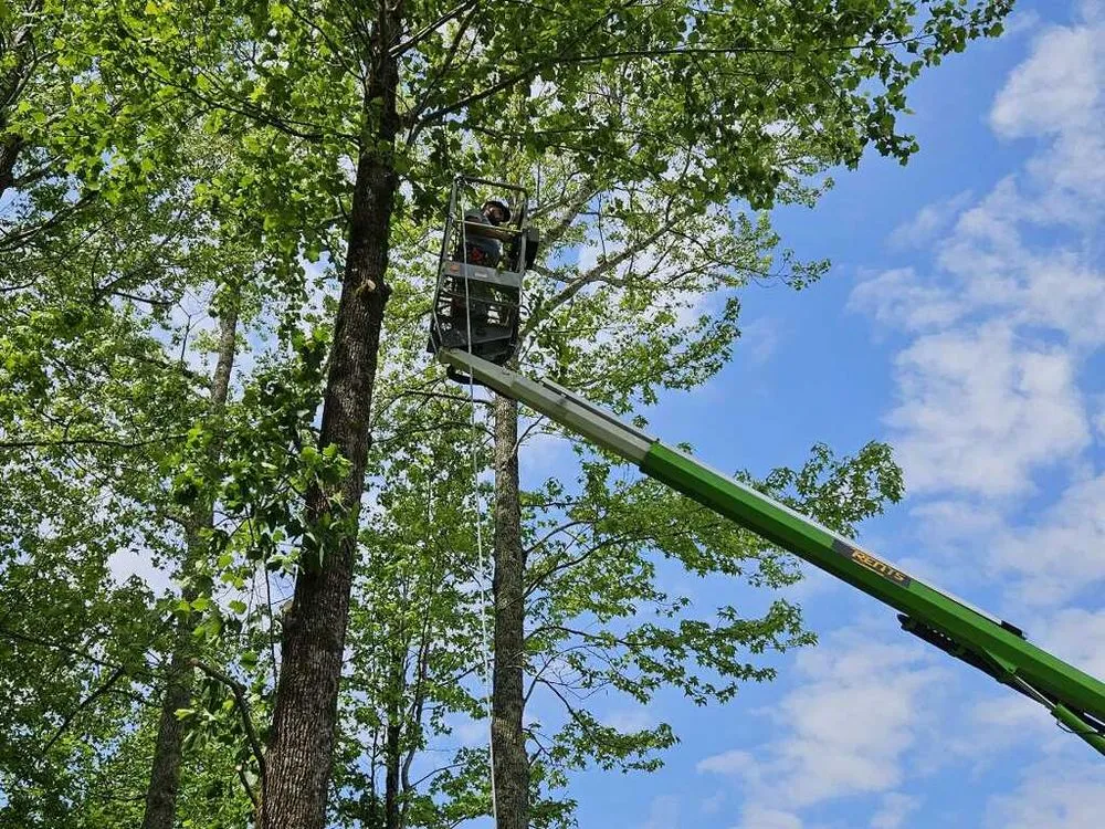 Reliable landscape design in Fayetteville, TN by Five Star Tree Service & Land Managment