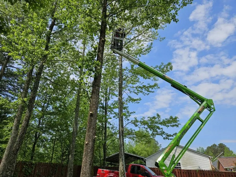 Top-rated lawn care service in Fayetteville, TN by Five Star Tree Service & Land Managment