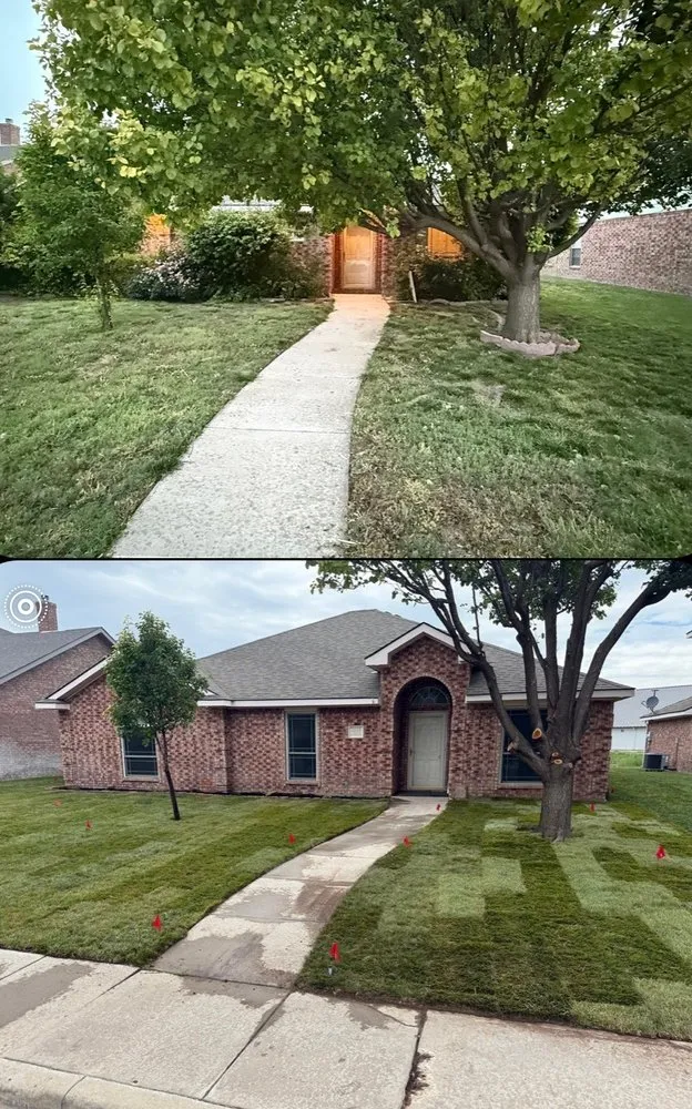 Reliable landscape design in Amarillo, TX by Five Star Tree Service