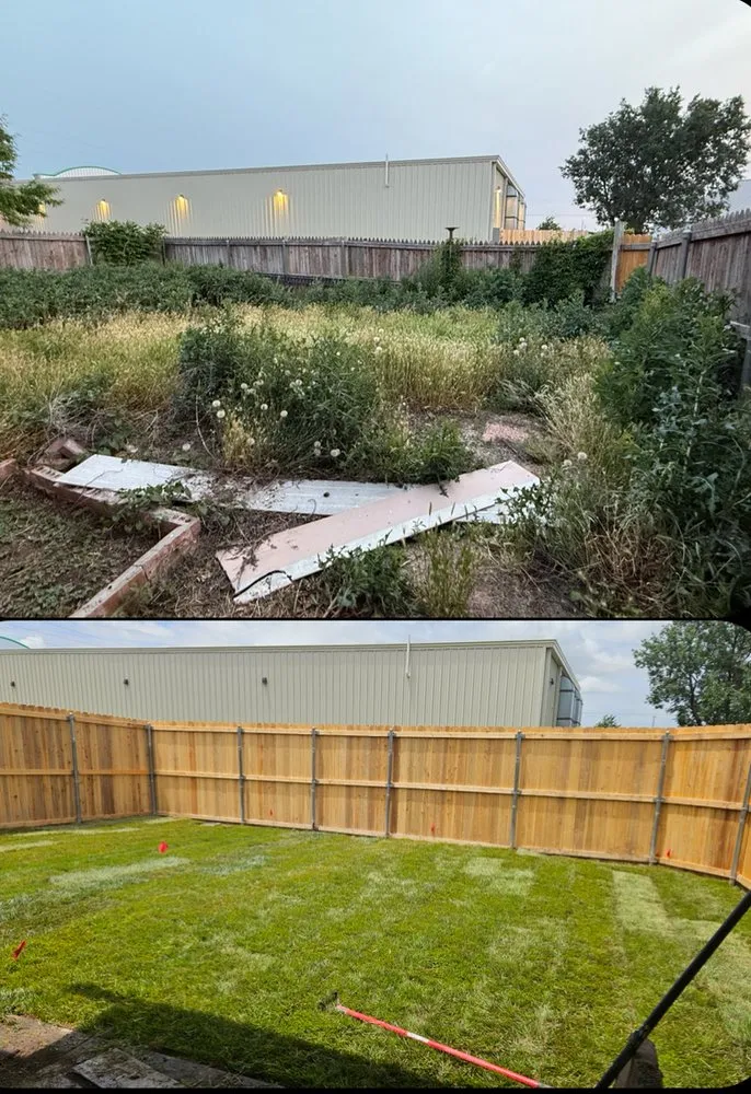 Affordable yard cleanup service in Amarillo, TX - Five Star Tree Service