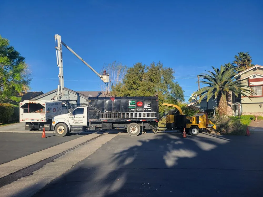 Top-rated outdoor landscaping for outdoor upgrades across Las Vegas, NV - Five Star Tree Service