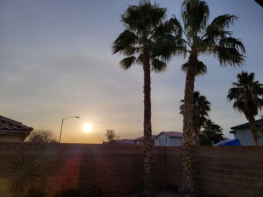 Affordable landscape design in Las Vegas, NV - Five Star Tree Service