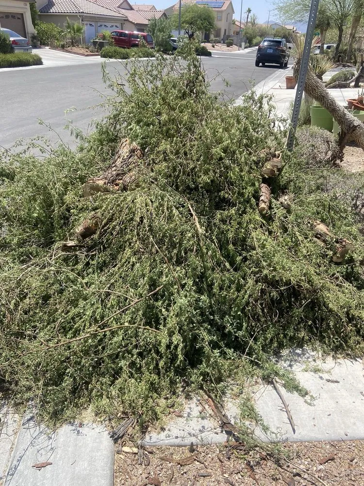 Affordable lawn care service in Las Vegas, NV - Five Star Tree Service