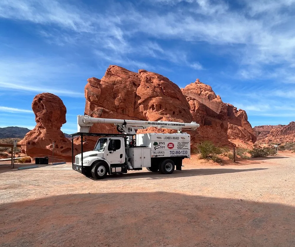 Reliable lawn mowing service in Las Vegas, NV - Five Star Tree Service