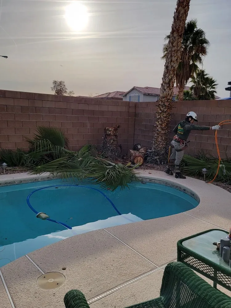 Expert landscaping services for beautiful yards across Las Vegas, NV - Five Star Tree Service