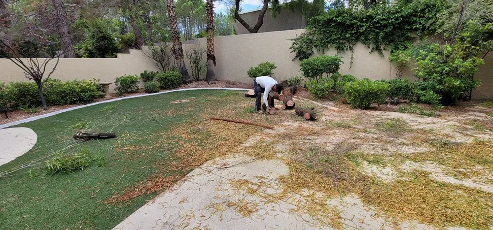 Top-rated landscape installation in Las Vegas, NV - Five Star Tree Service