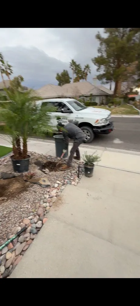 Trusted yard cleanup service for homes in Las Vegas, NV by Five Star Tree Service