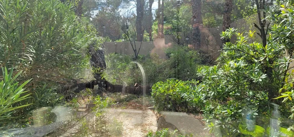 Reliable garden landscaping in Las Vegas, NV - Five Star Tree Service