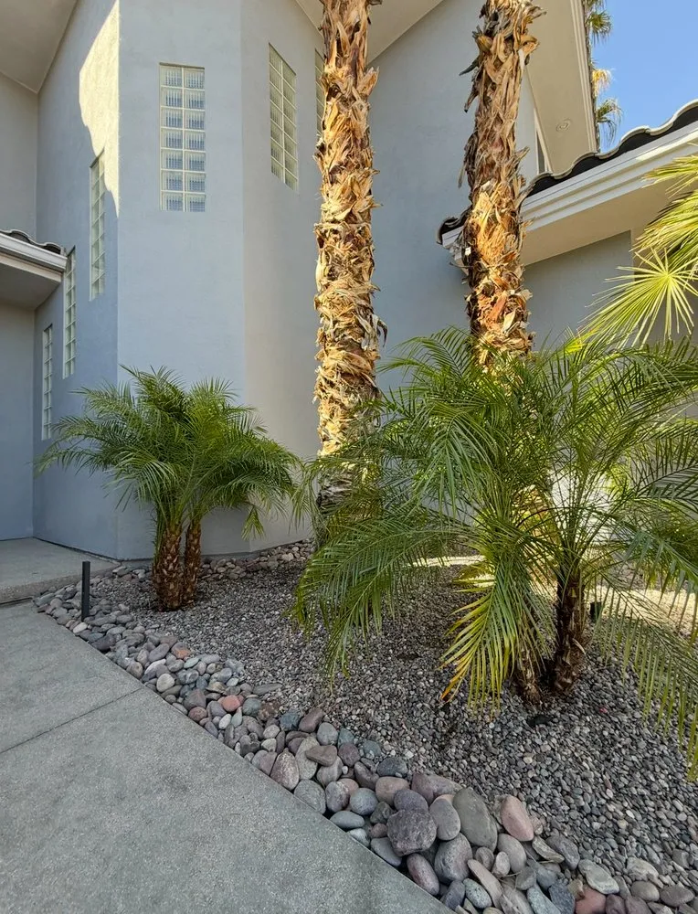 Custom landscape installation in Las Vegas, NV by Five Star Tree Service